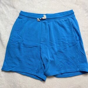 Sol Angeles Circle Waves Men’s Shorts in Blue - Size L